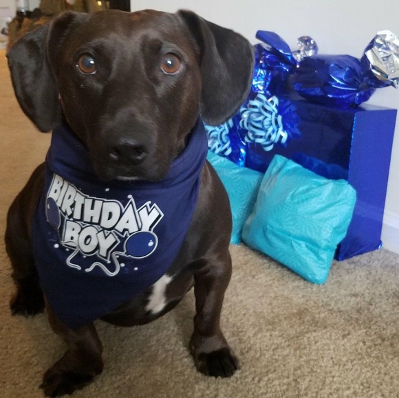 Meet your Posher, Angela - Picture 1 of 1